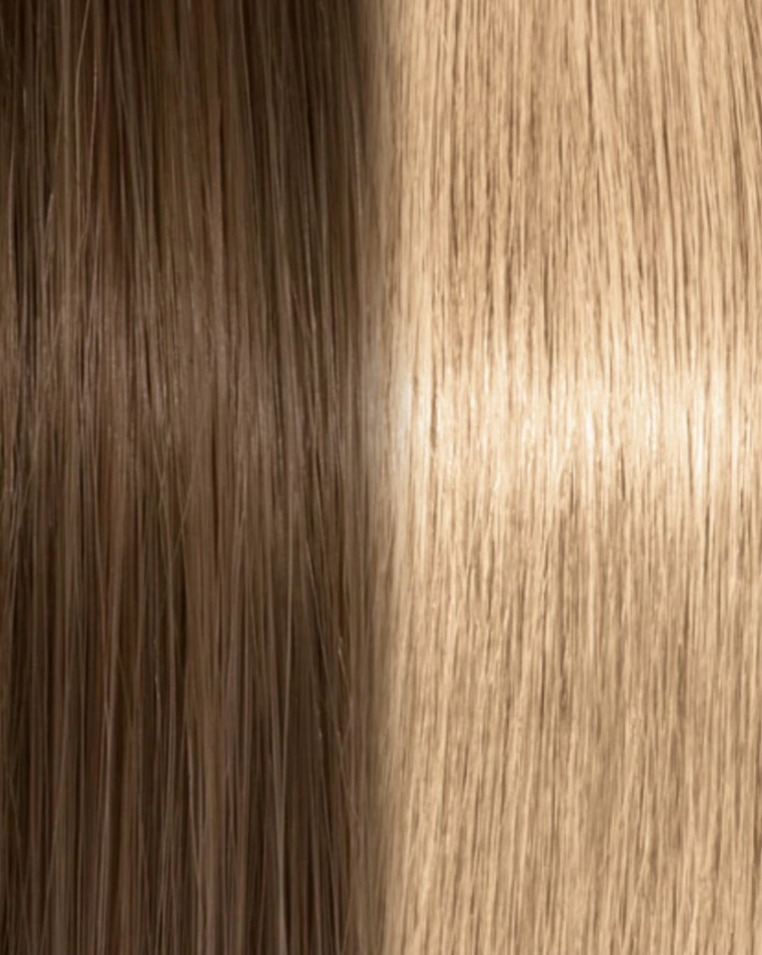 SLAVIC HAIR OMBRE COLOR 6/9.3