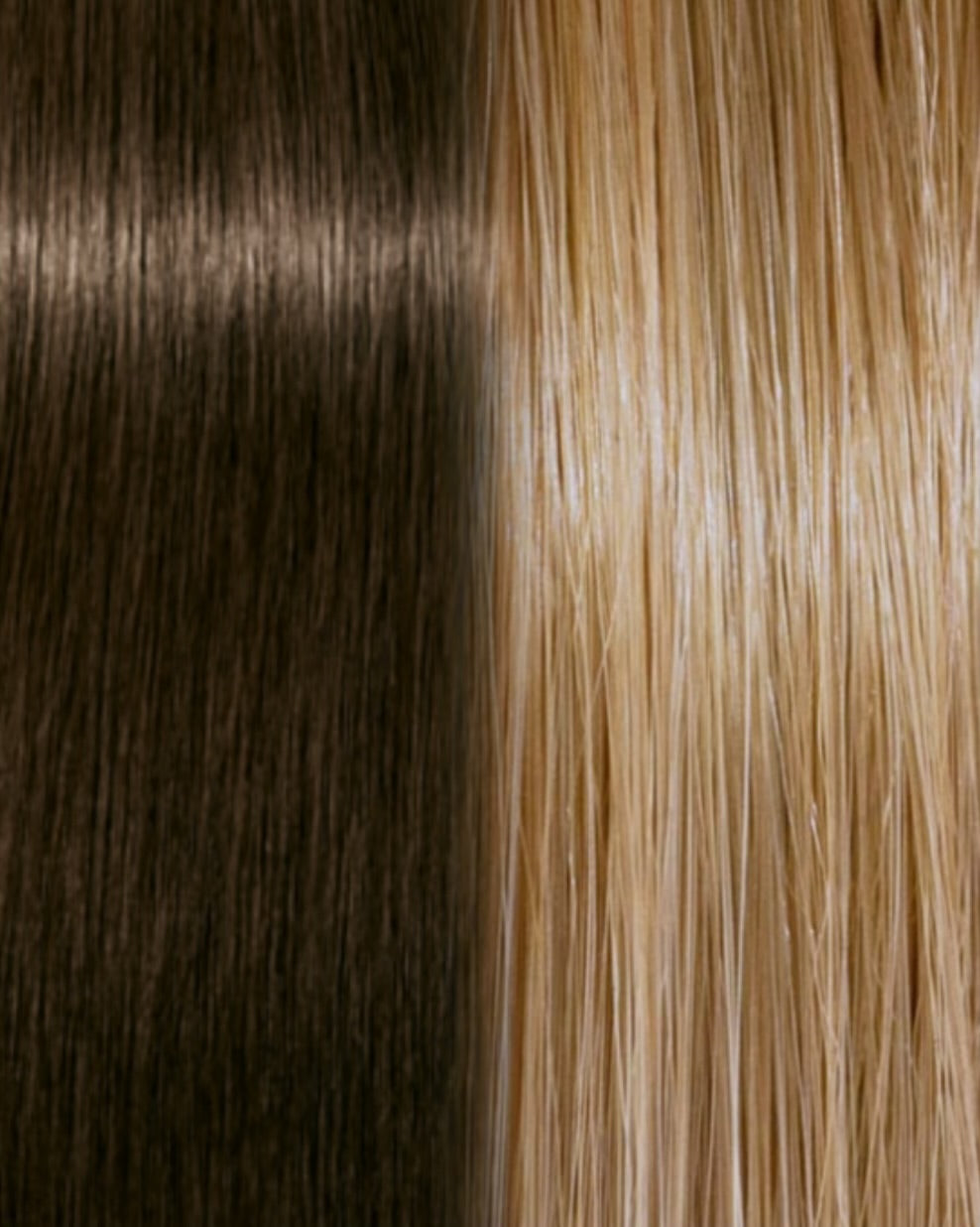 SLAVIC HAIR COLOR OMBRE #5/8.31