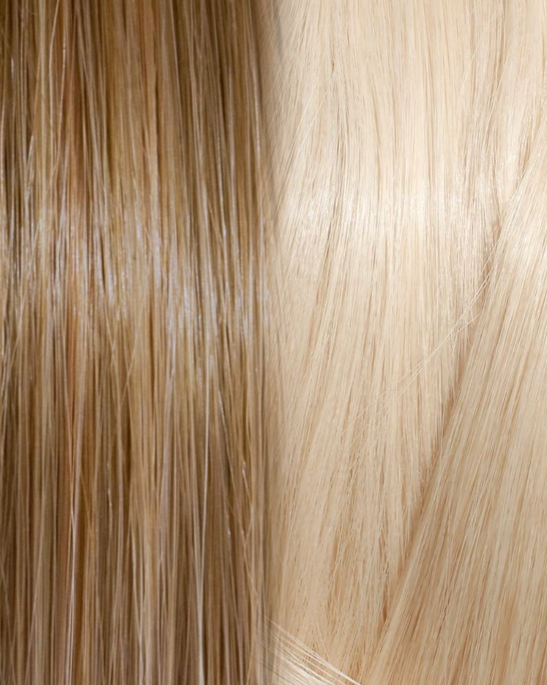 SLAVIC HAIR HAIR COLOR OMBRE 8/11.0
