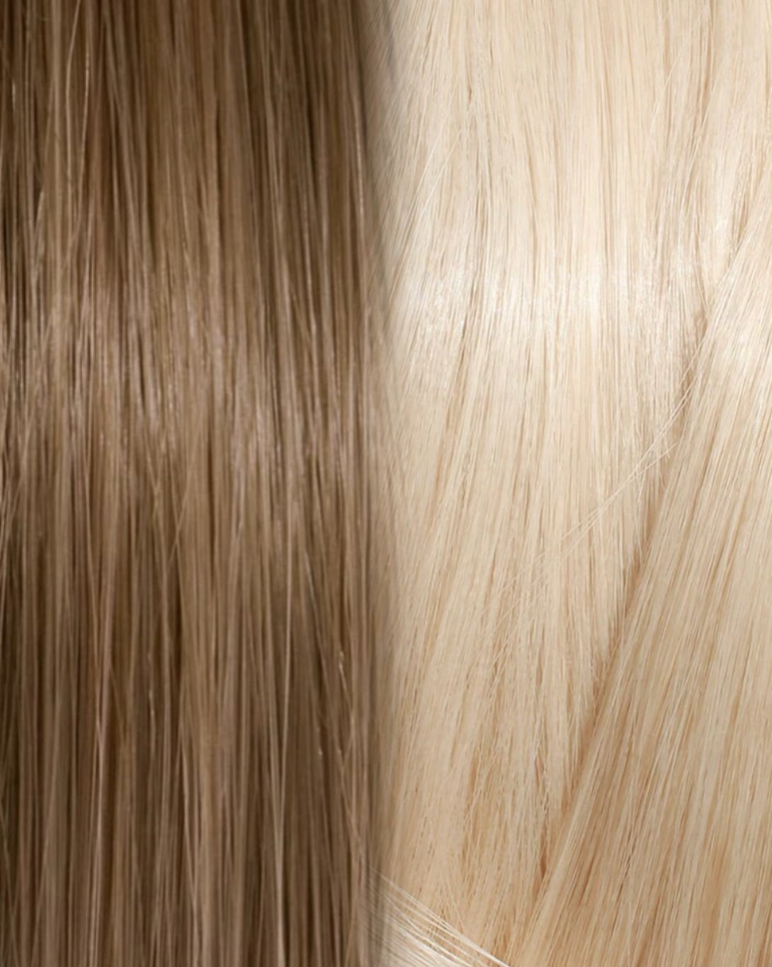 SLAVIC HAIR OMBRE COLOR 7/10