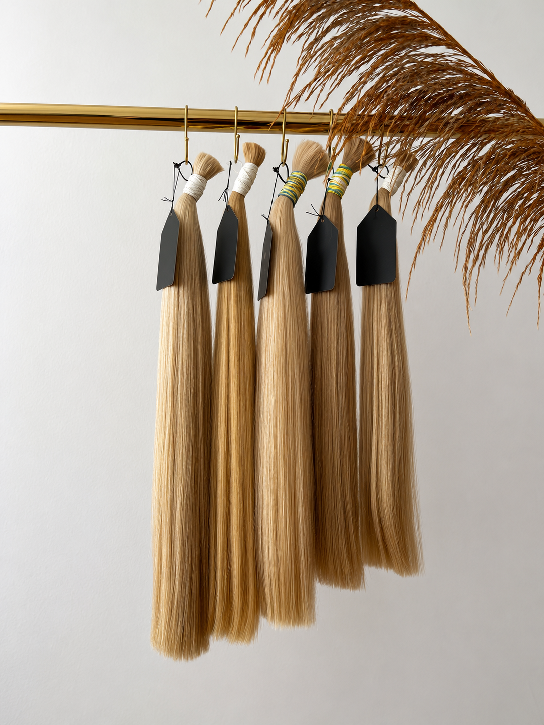 Hair Extensions Services (Britney)