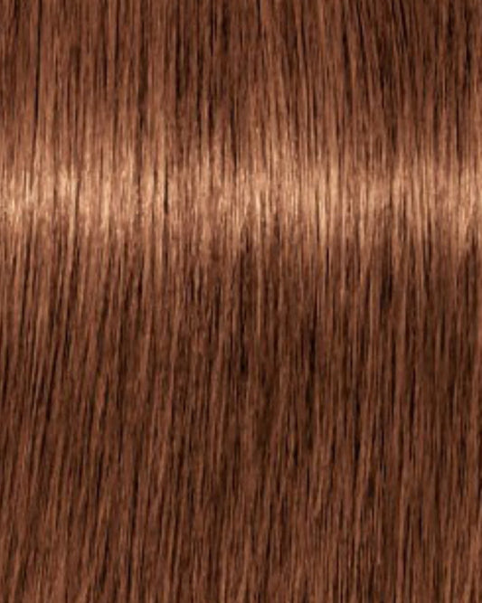 K-Tip Extensions #/4